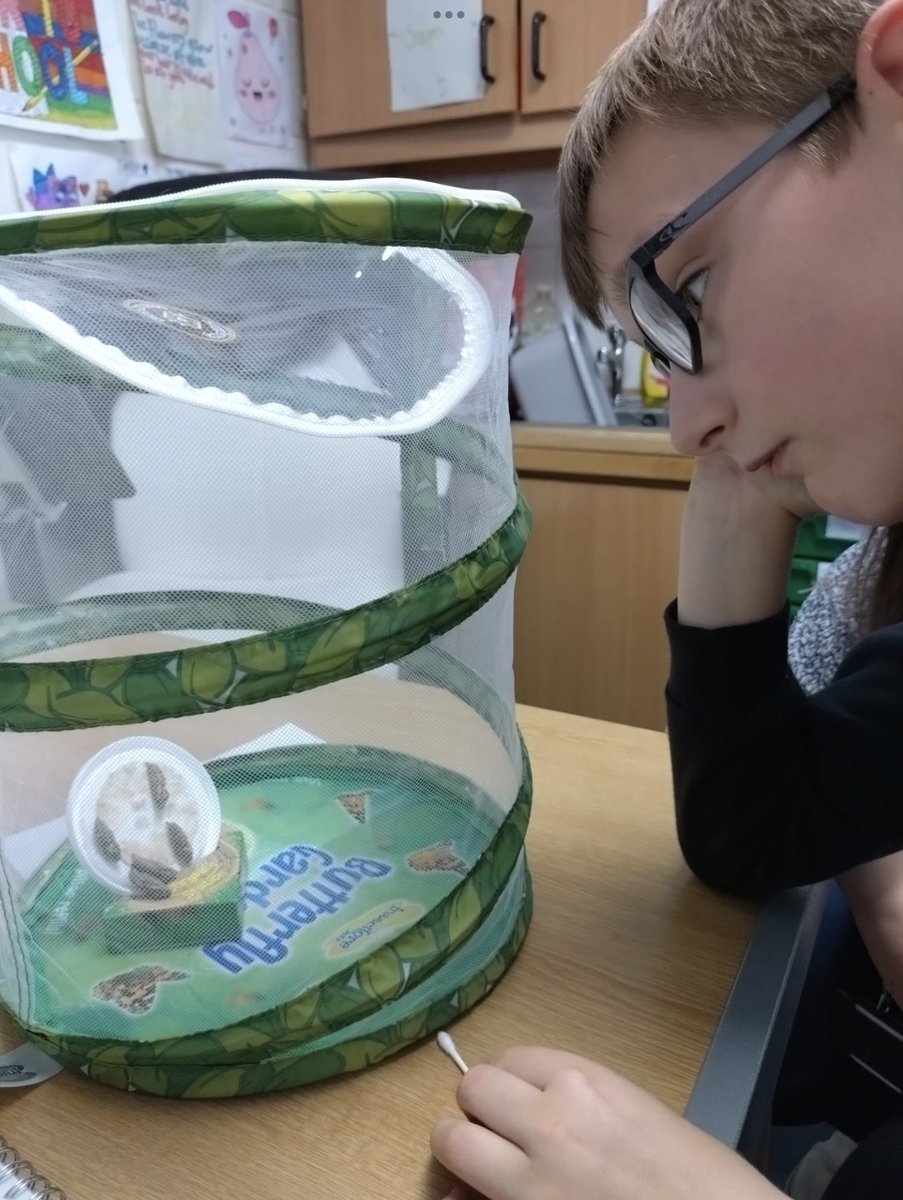 P4Carronshore tweet media