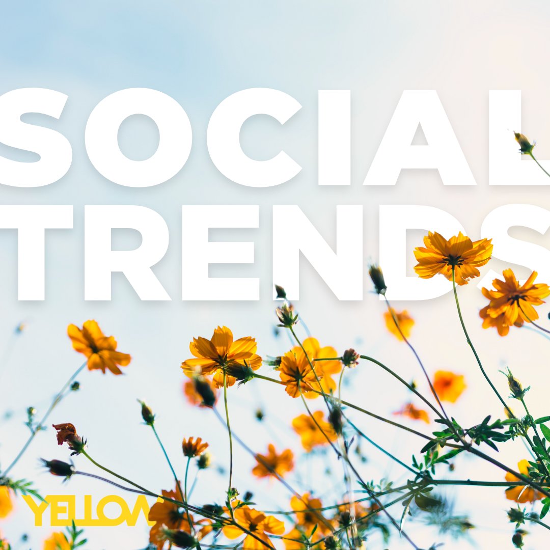 YELLOWMP's tweet photo. Social media is a constantly evolving landscape that changes just as we start to get comfortable.

To learn more click here: https://t.co/Wg6FFgY1EI  

#YellowMarketing #SocialMedia #Trends #AI #Hootsuite https://t.co/74VAC1XSRo