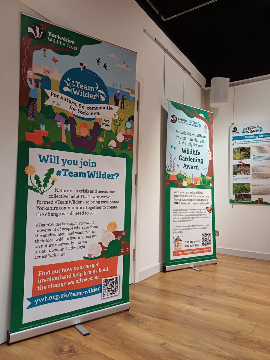 Only one week left of the #TeamWilder Exhibition: A celebration of community action for wildlife!🐦🐞

Exploring the current state of Yorkshires wildlife and environment, the exhibition is a collaboration of groups from Hull and beyond!

Closes 16 June!
hullmuseums.co.uk/events/event/1…