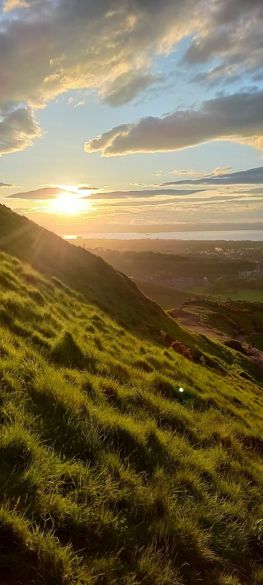 Julieta Rivosecchi tweet media