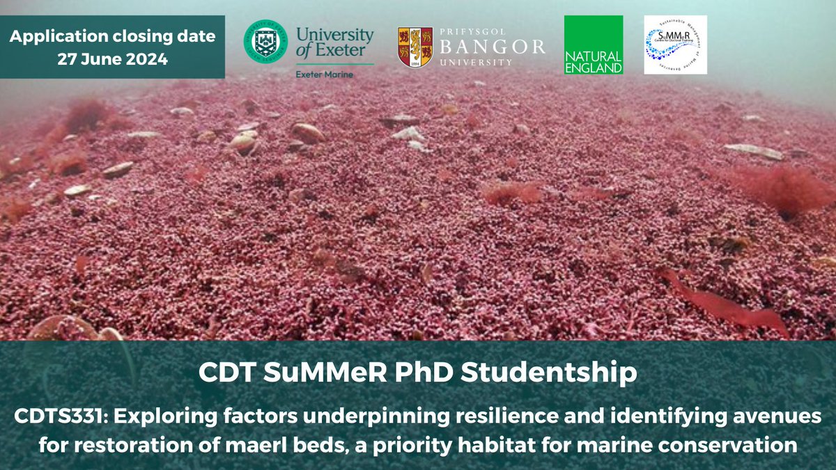 🌟 New PhD projects for Cohort 3 of @CDT_SuMMeR open for applications! Including ⬇️

Exploring factors underpinning resilience and identifying avenues for restoration of maerl beds, a priority habitat for marine conservation - led by @Mike_J_Allen 🧪🧬

➡️ shorturl.at/2vDiO
