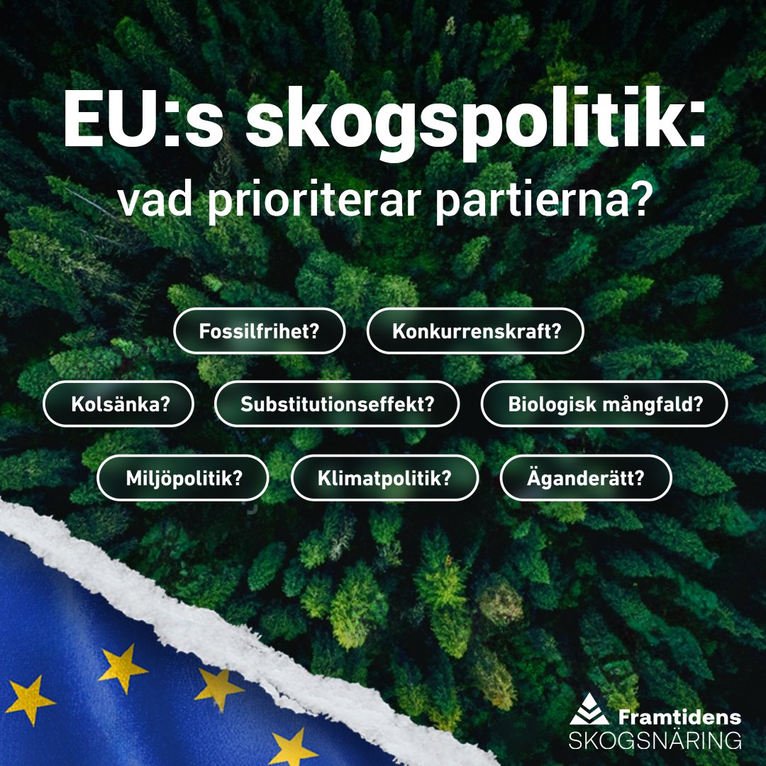 Skogsnaring's tweet photo. Politiker från alla partier säger sig värna svensk skog. Men vad innebär det i praktiken?

Vi bad de kandidater vi intervjuat att VÄLJA TRE ORD som beskriver hur de ser på skogsfrågorna i EU-parlamentet. #EUval #EUval2024📷 #svpol #eupol

⬇️ https://t.co/LC8hjIDJvN