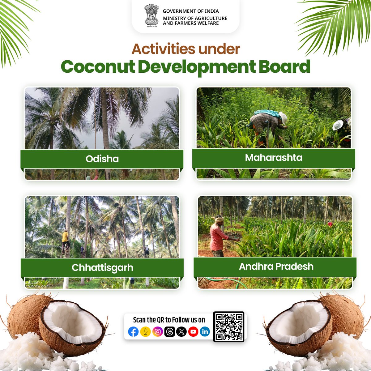 The Coconut Development Board undertook various farm activities & events such as weeding, ploughing, irrigation etc. during the second fortnight of May 2024 at DSP Farms of Odisha, Maharashtra, Chhattisgarh & Andhra Pradesh. #agrigoi #coconut #farm #training #agriculture