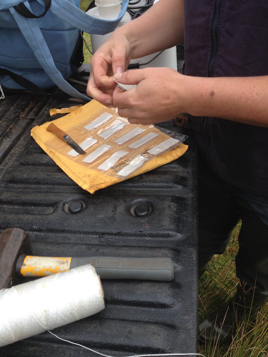 edeeyto's tweet photo. Just published in Science 🙂🌿🌲🌍🌏🌎

We included sites in the Burrishoole catchment @MarineInst as part of this global #Celldex project led by Scott Tiegs., to estimate and hence predict decomposition rates in streams 

https://t.co/qUx0Oe81Q6 https://t.co/bBqkMR3JDM