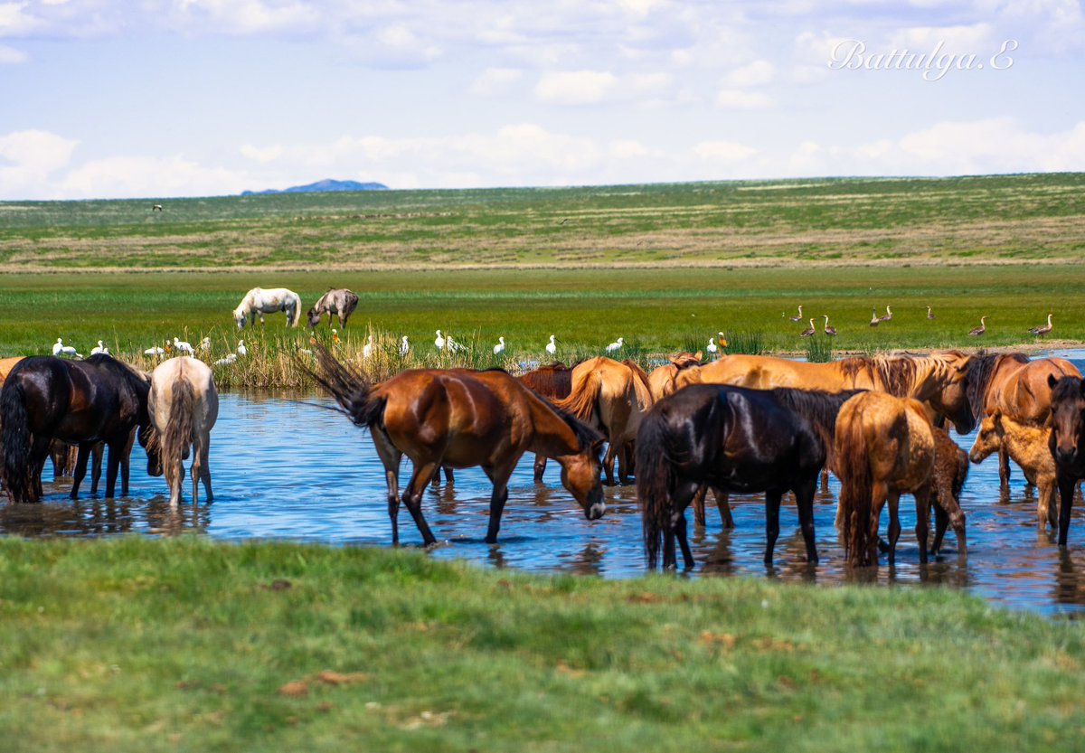 Зуншлага сайхан байна.