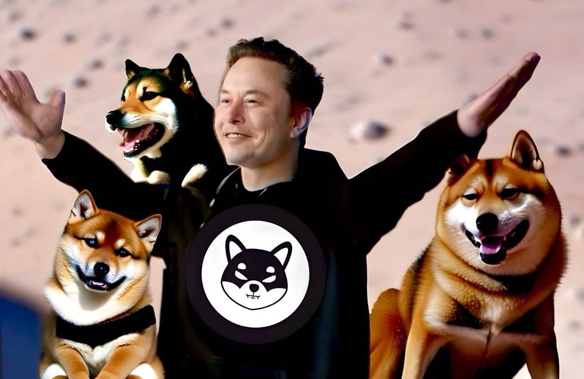 Wen #XPayment with #SHIB @elonmusk ?