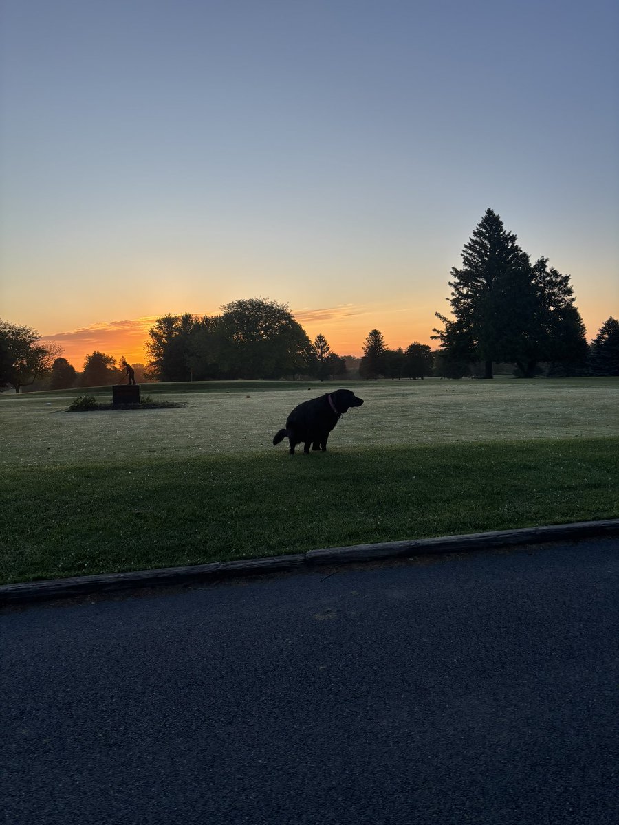 TerryHillsMaint's tweet photo. Just another beautiful sunrise. @francisdmarion https://t.co/B0Fu0Ko7NM