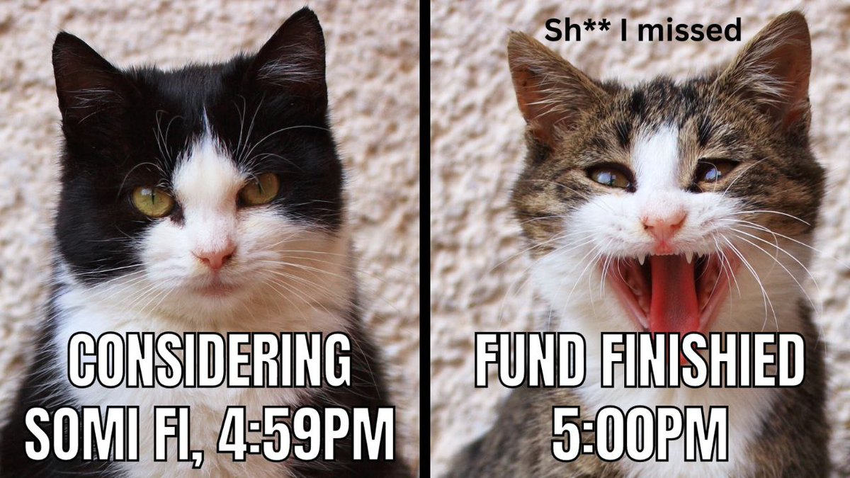 SOMI Network tweet media