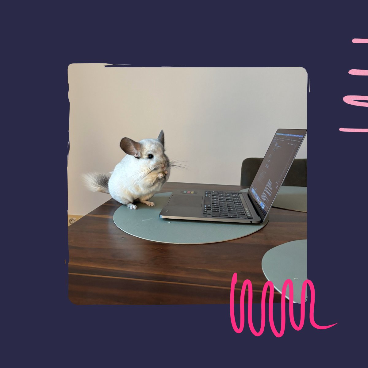 raidboxes® tweet media