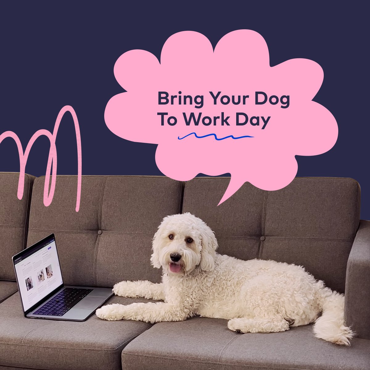 raidboxes® tweet media