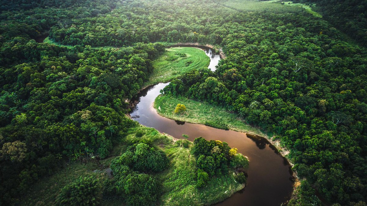 RTVE ofrece desde el sábado una programación especial por el Día Mundial del Medioambiente (5 de junio) con documentales, espacios de actualidad y campañas para concienciar sobre los espacios naturales. Toda la información: rtve.es/n/16127760