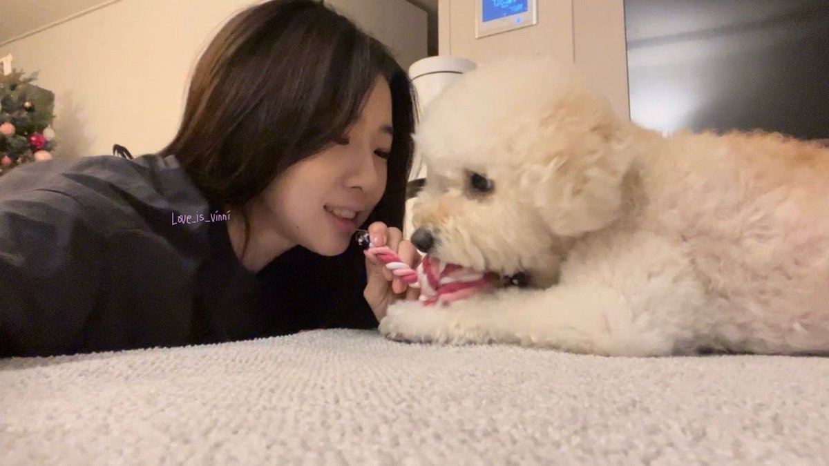 vinpictures's tweet photo. vin’s number one treasure is her dog, choi joy! 🤍🐾 https://t.co/MjzzHOuUJV