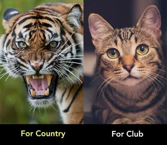 Troll Football tweet media