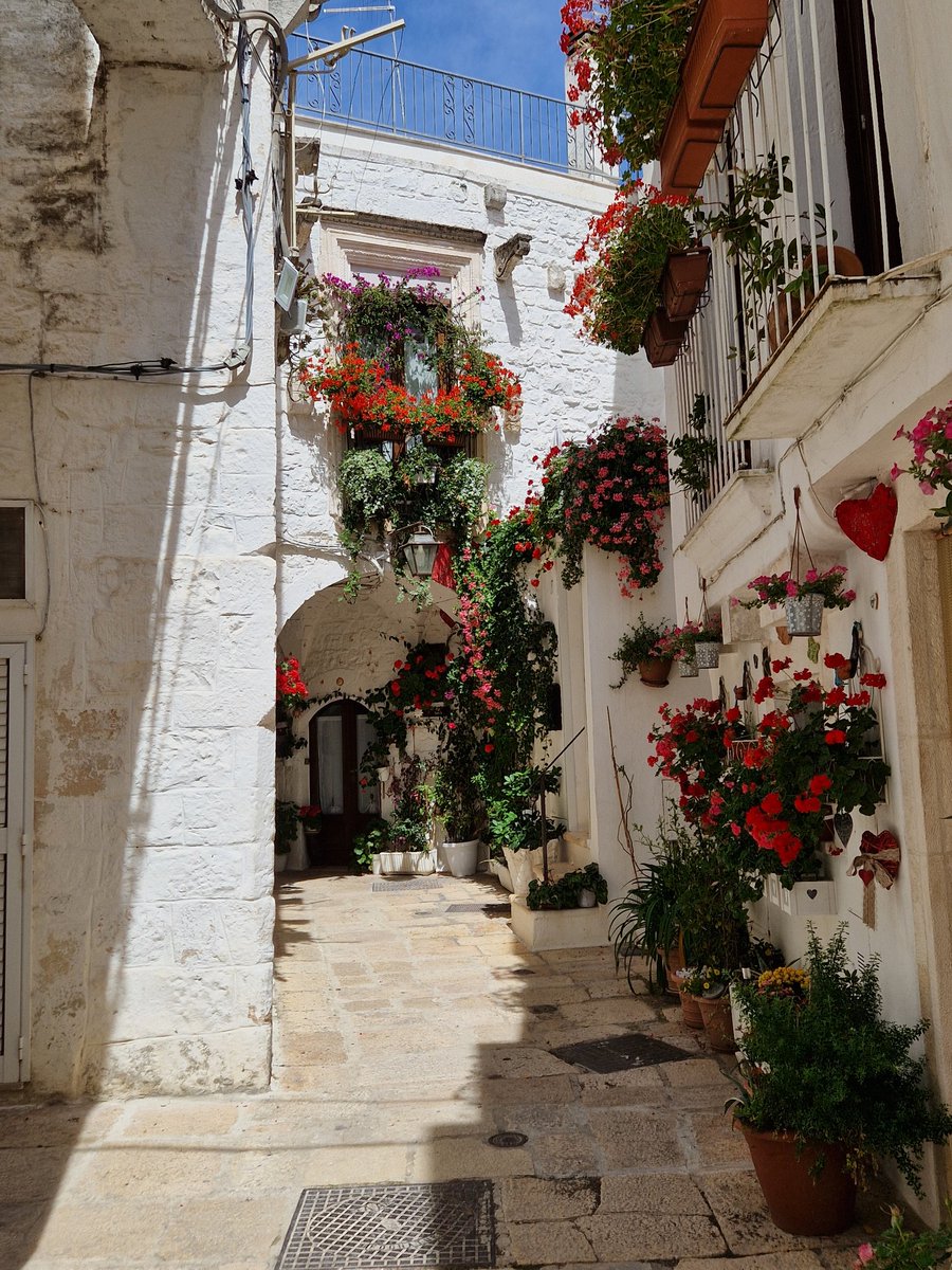 Buon Giorno, Grüezi, Tag'chen...
Ich hoffe ihr habt auch schönes Wetter.  
Einen wunderbaren Restfreitag euch allen!