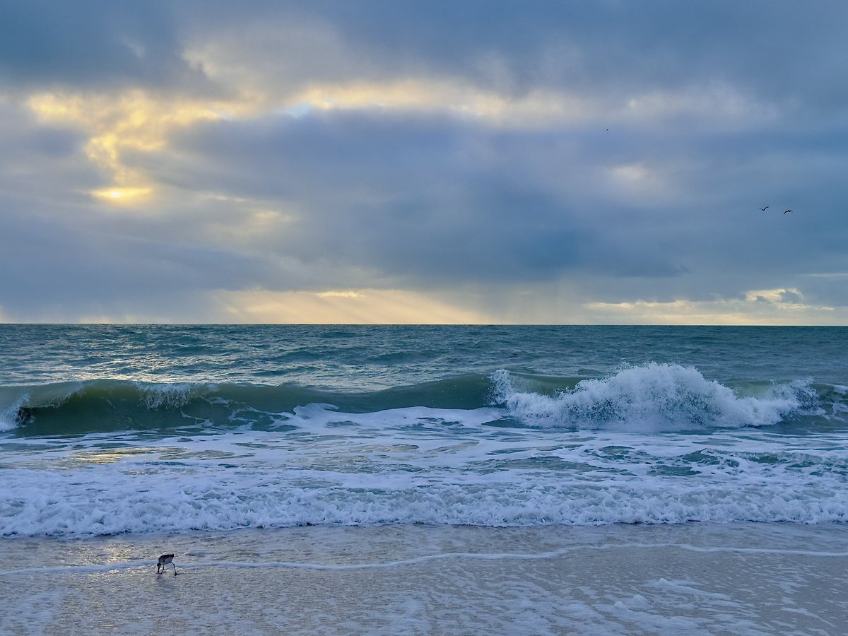 Happy Friday! Rough night but hoping for a smooth ride today! #Friday #Florida #BeachLife