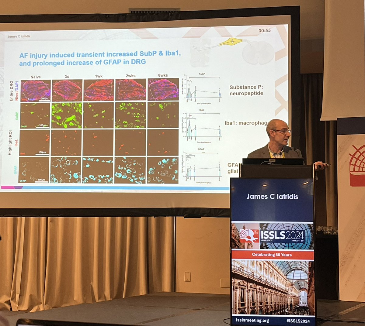 Annulus Fibrosus Injury Induces Acute Neuroinflammation and Chronic Glial Response in Dorsal Root Ganglion and Spinal Cord—An In Vivo Rat Discogenic Pain Model mdpi.com/1422-0067/25/3… nice presentation from <a href="/iatridislab/">James Iatridis</a> #ISSLS2024 <a href="/ISSLS_Society/">ISSLS</a>