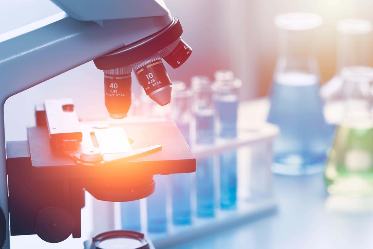 Indy Science tweet media