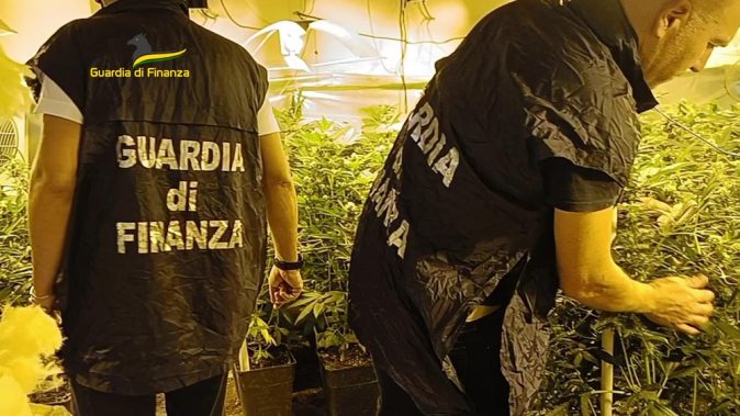 SciscianoNotiz1's tweet image. #Trecase, scoperto laboratorio clandestino per la coltivazione di marijuana: #ILMONITO 

Il Comando Provinciale della Guardia di Finanza di Napoli ha scoperto, all’interno di un immobile confiscato nel Comune di #Trecase, 

L'articolo Trecase, scoperto… dlvr.it/T7f3JJ