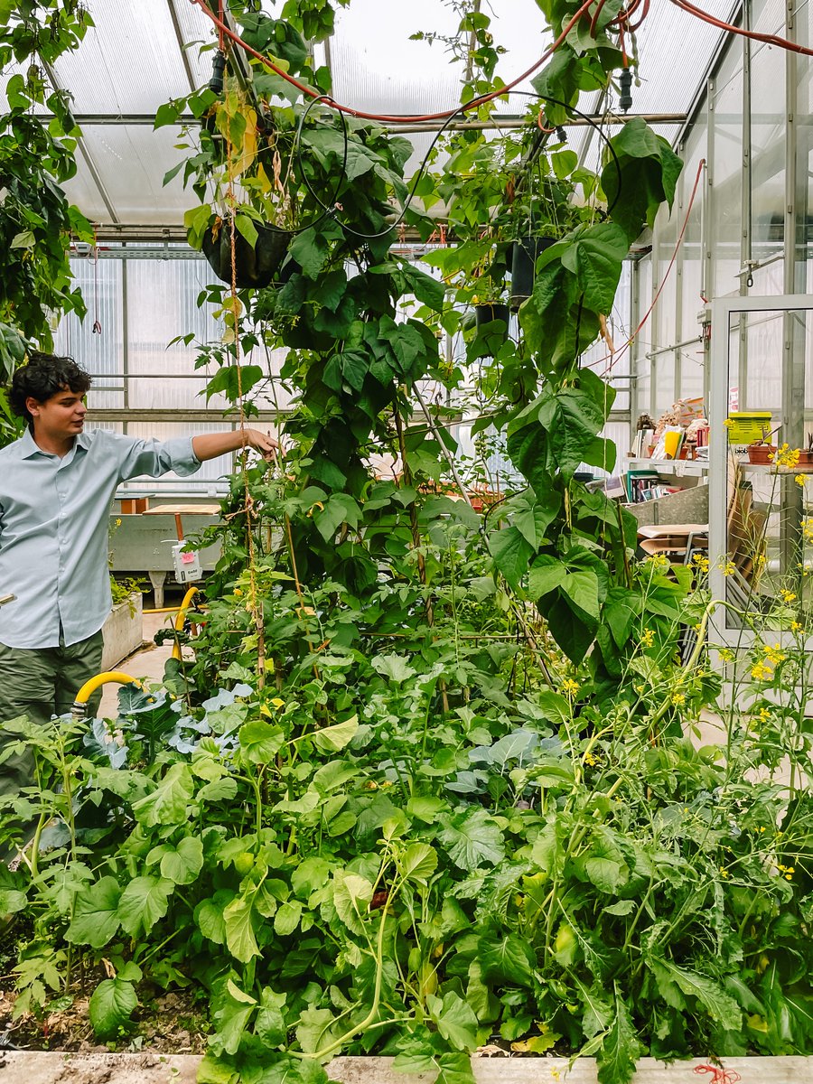 Territory of Architecture での講評会、テーマはチューリッヒメトロポリタンエリアのアグロエコロジーエリア。
発表の後にグリーンハウスでセメスター中に育てた野菜を持ち帰って食べる予定 :)