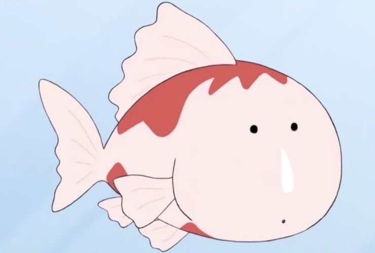 ₍ᯣ.ᯣ₎ ͙݁