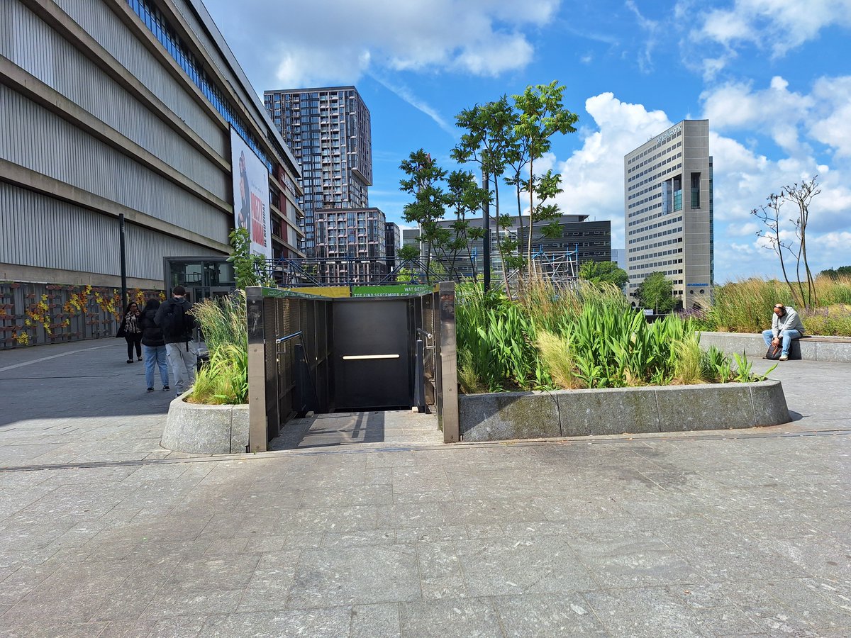 Er verdwijnt groen uit de plantenbakken rond Utrecht Centraal maar geen paniek! De plantenbak bij de roltrappen maken we waterdicht. Haar beplanting vertroetelen we even op andere plek. En in de bakken voor het Stadskantoor komt ander groen dat het beter doet in de schaduw.