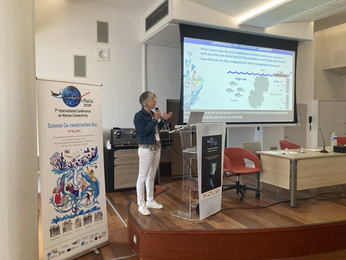 ADarnaude's tweet image. Stephanie Mahevas from @umrMARBEC⁩ presenting connectivity modeling to optimize artificial structures positioning for habitat restoration in harbors at the science codesign day of the #imarco2024 conference. ⁦@SeaUnicorn2020⁩