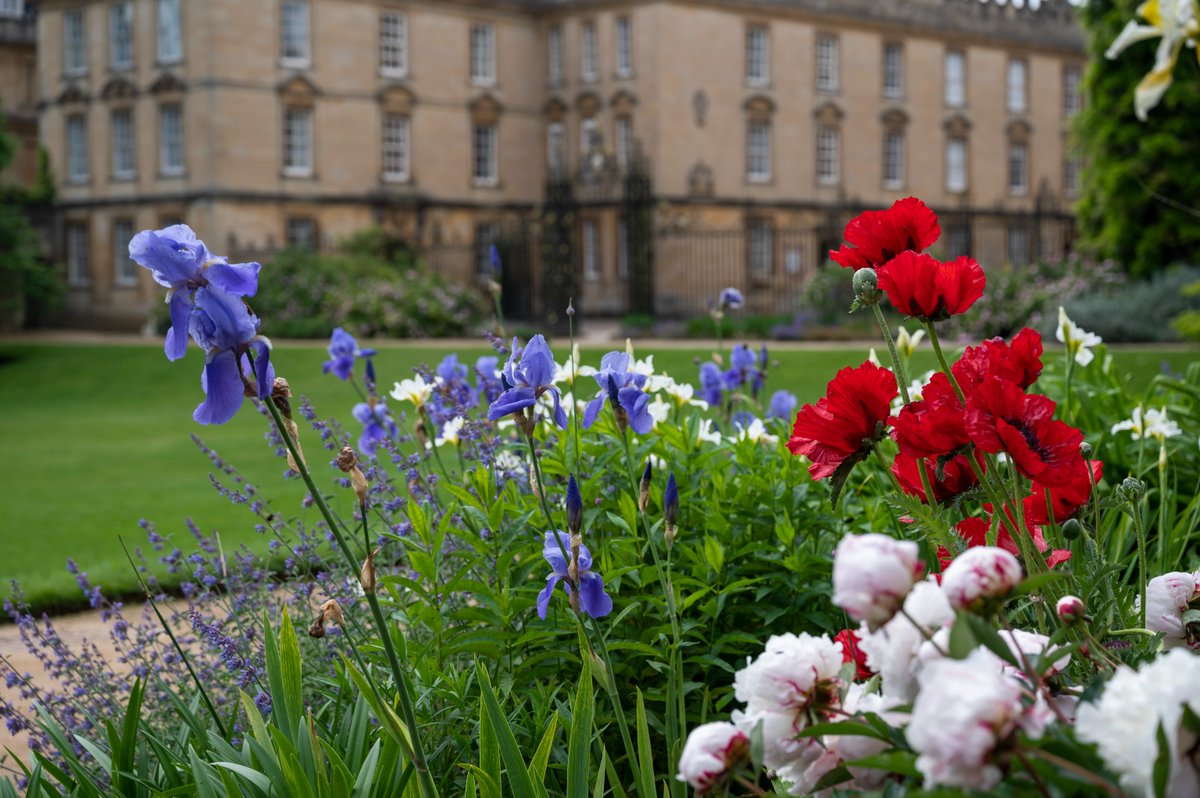 Rainy days can’t hide the beauty of New College Gardens! Our flowers were blooming through the showers this week 🌸

📸 John Cairns