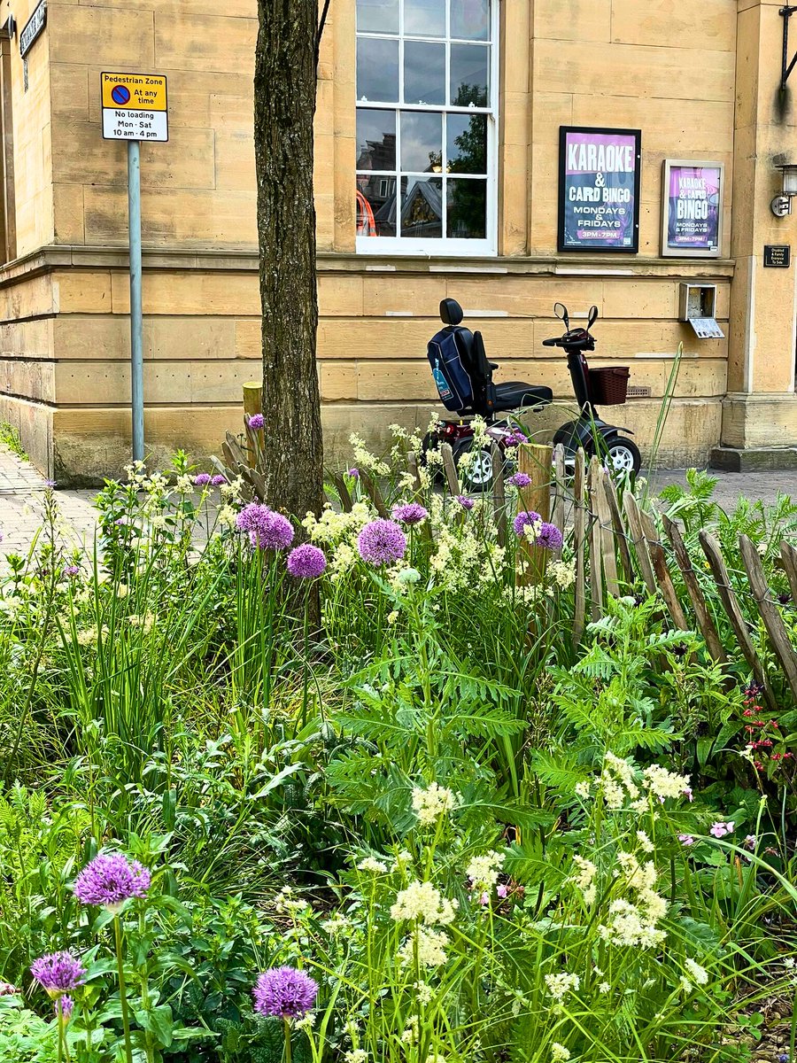 The Green Estate CIC (@green_estate) on Twitter photo Our Landscape Manager Tom was on <a href="/BBCNottingham/">BBC Nottingham</a> yesterday morning talking to <a href="/veritycowley/">Verity Cowley</a> about the SuDS we’ve been installing in Mansfield as part of the town’s Sustainable Flood Resilience Project. Listen from 1:10:05: bbc.co.uk/sounds/play/p0… Photos by <a href="/_JoBirch/">Jo Birch</a> Our Landscape Manager Tom was on <a href="/BBCNottingham/">BBC Nottingham</a> yesterday morning talking to <a href="/veritycowley/">Verity Cowley</a> about the SuDS we’ve been installing in Mansfield as part of the town’s Sustainable Flood Resilience Project. Listen from 1:10:05: bbc.co.uk/sounds/play/p0… Photos by <a href="/_JoBirch/">Jo Birch</a>