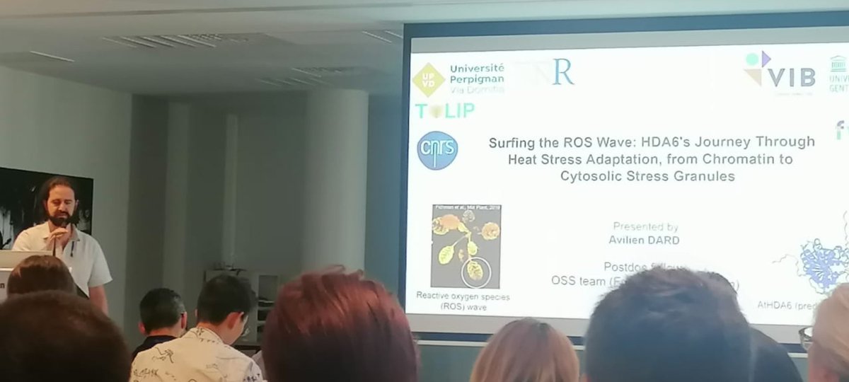 Very happy to present our story about AtHDA6 redox regulation during heat stress and kick-off my @MSCActions project at  #POG2024 conference in the wonderful city of Antibes, France.
#Reichheldlab @LGDP_Perpigna @frbre @PSB_VIB