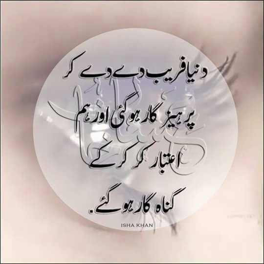 seharyar tweet media