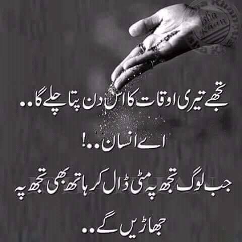 seharyar tweet media