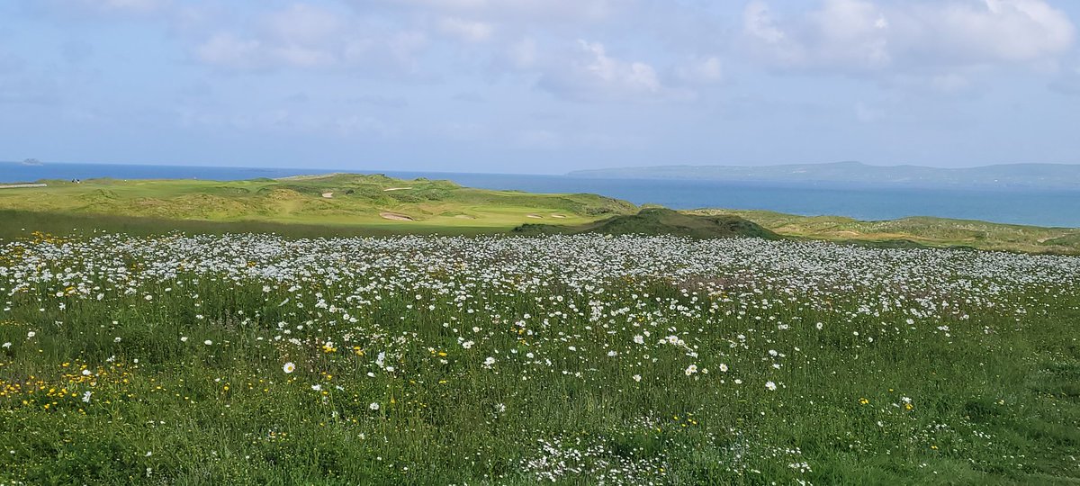 colm lawlor tweet media