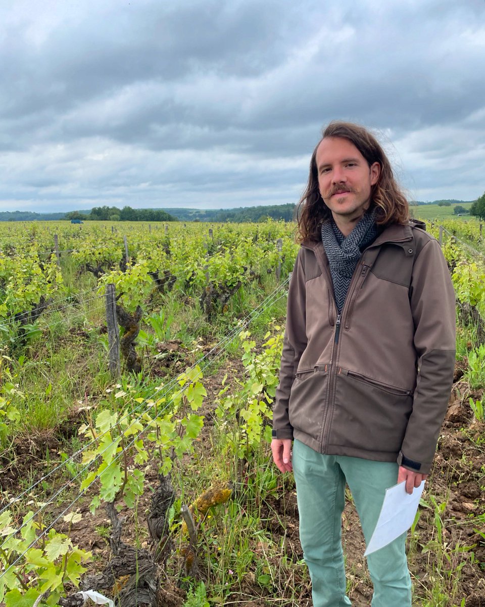 Great visit to see Julien Pinon in Vouvray this morning; here he is standing in his most renowned vineyard, Les Déronnières, which sits on the very edge of the plateau over the Vallée de Cousse. #vouvray #francoisetjulienpinon #julienpinon #cheninblanc #loire #wine