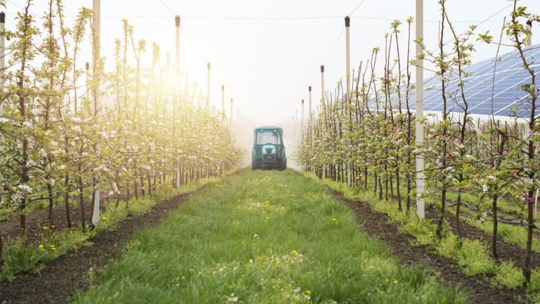 grupospri's tweet photo. 🌱 Descubre #Zetrack E-Farming, la startup que impulsa la agricultura sostenible con su innovador 'robotractor'.

Conoce esta tecnología eco-friendly y autónoma está revolucionando el campo.

🔗 https://t.co/obNxgna96M

#Startups #Emprendimiento #Sostenibilidad #GrupoSPRI https://t.co/6enZdDh2kZ