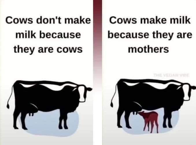 #DitchDairy 🌱