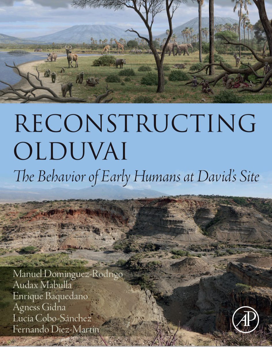 ➡️ The most comprehensive study of the African Early Pleistocene archaeological record is detailed in the new book published today, May 31. This work focuses on DS, the largest window into the world of early humans, from Olduvai Gorge.
