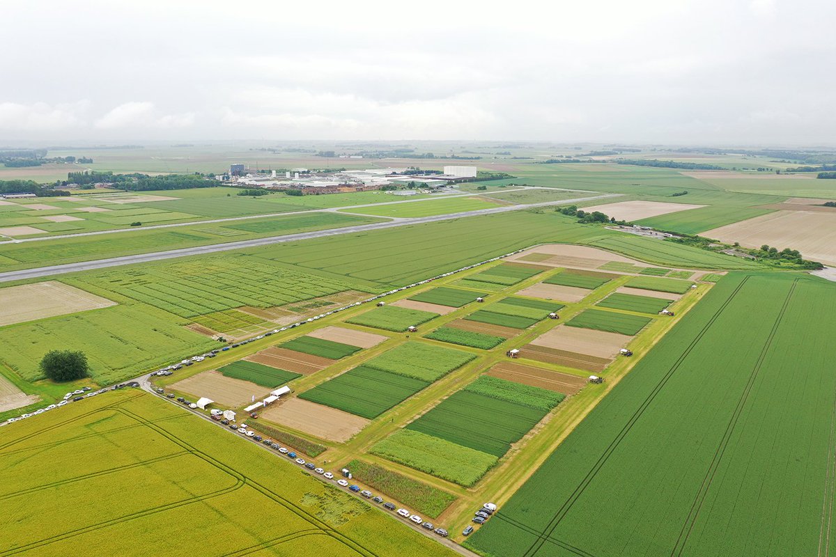 Malgré la météo☔️, 210 personnes se sont rassemblées sur la plateforme <a href="/ProjetSyppre/">Syppre</a> Picardie pour échanger sur les acquis de 8 ans de cet essai système.
L’objectif : concilier les enjeux de production, économiques et environnementaux dans nos limons profonds
<a href="/Arvalisofficiel/">ARVALIS</a>
