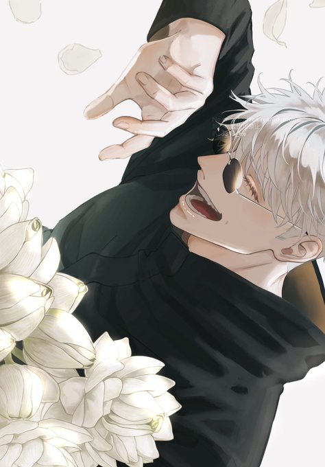 「petals white background」 illustration images(Latest)