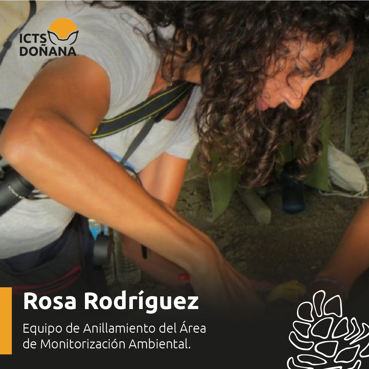 💚 Seguimos conociendo al personal que trabaja en la #ICTSDoñana.

👉 Labores como las que realiza Rosa Rodríguez son fundamentales para la preservación de este espacio natural.

Sigue 👇

#ICTSNews #LaboratorioVivo