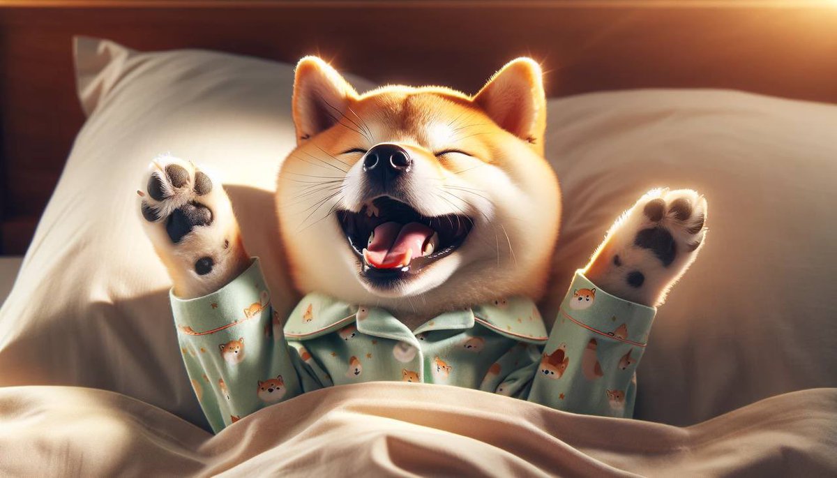 Shib tweet media