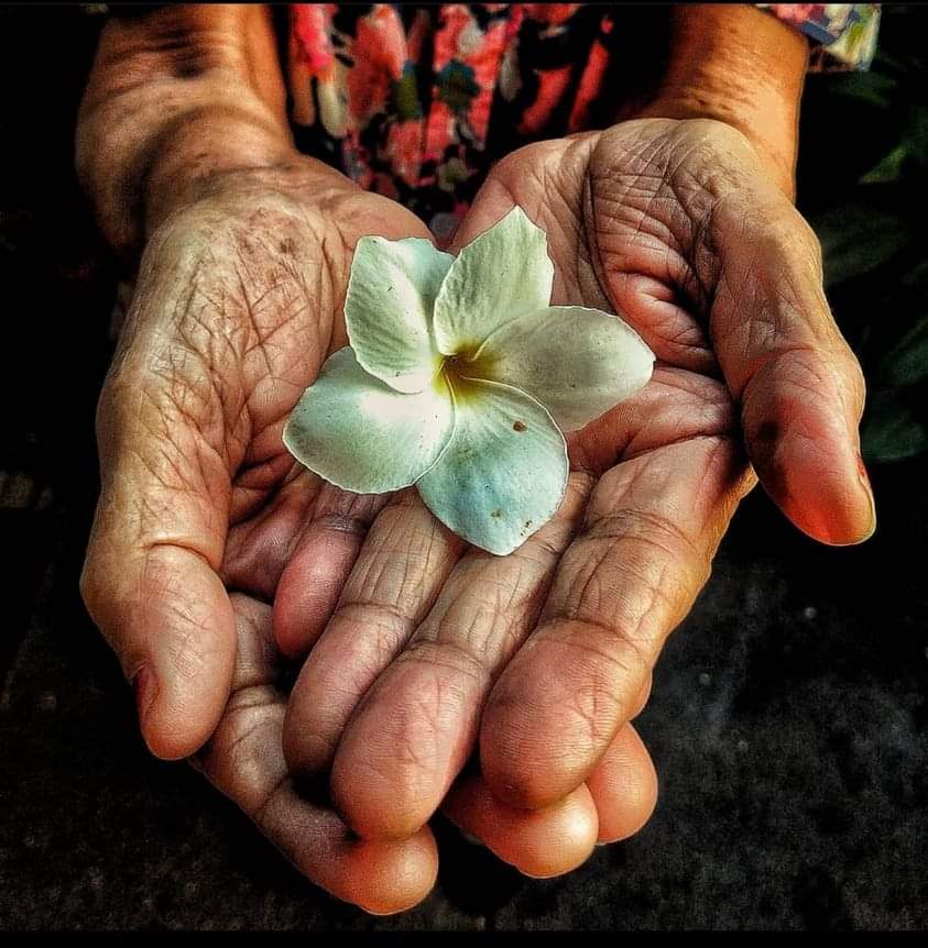 Si pudiéramos mirar el ❤️ del otro y entender los desafíos a los q cada uno de nosotros se enfrenta a diario, nos tratariamos los unos a otros con más gentileza, paciencia, tolerancia y cuidado.🙏🏻🤍 #FelizViernes Gente Bella 🌻 📸 #Cuba #DeZurdaTeam 👣❤️ @Titomara4 @GenvieveMx