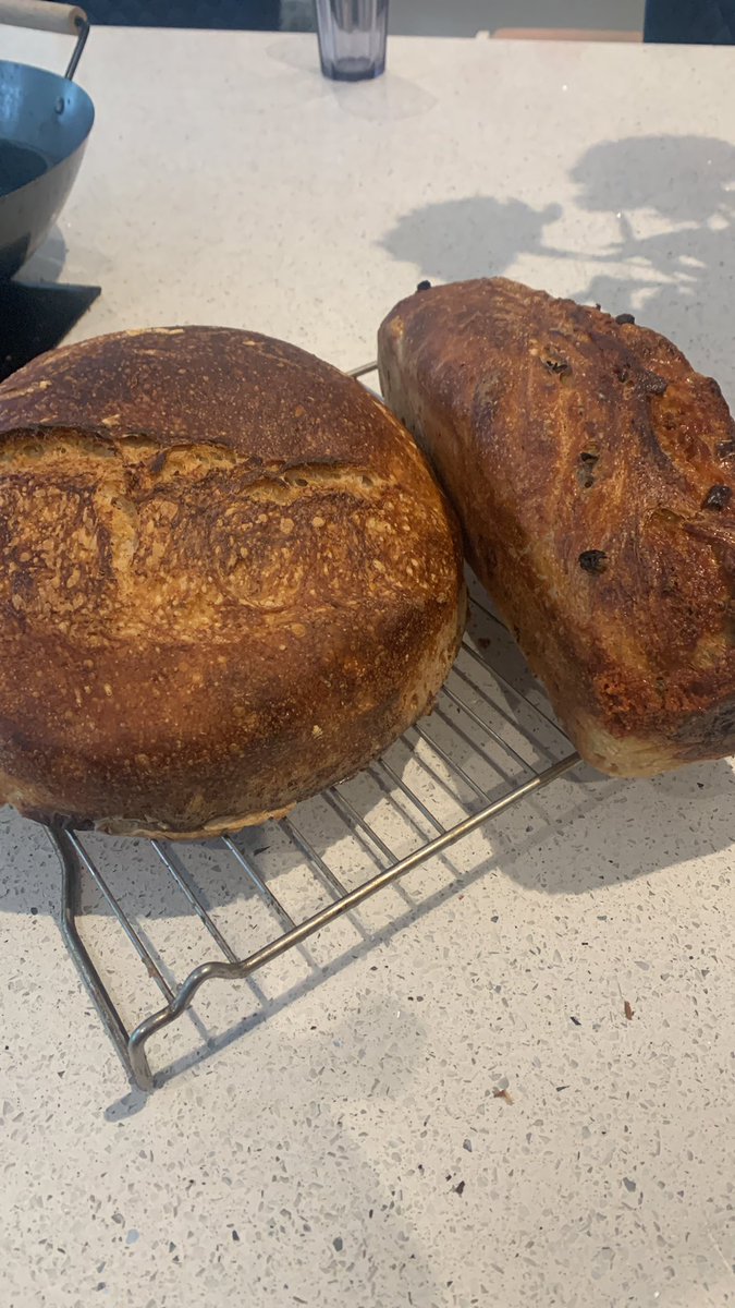 Shrinking Queen 💙 tweet media