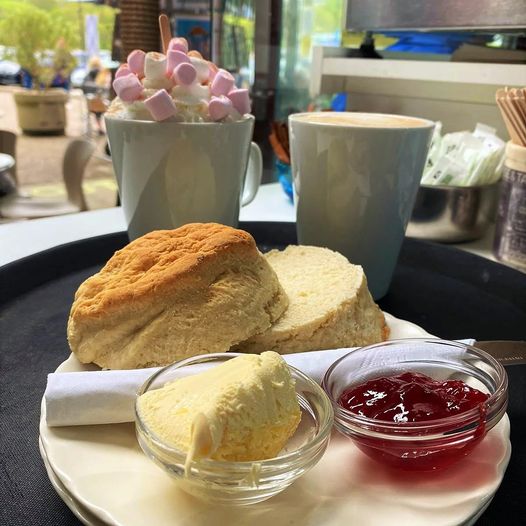 We're open right through the weekend every day from 10am. Enjoy a cream tea overlooking Ilfracombe Harbour in the sunshine 🌞