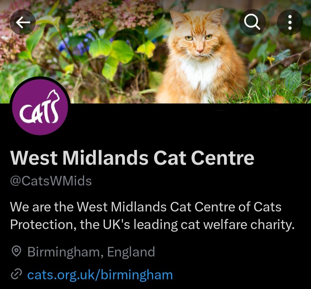 Some of you may have spotted our name change...

By dropping the word ‘adoption’, we now show our commitment to caring for cats at every stage of their lives and the wide range of support we give to cat owners to keep their pets happy, healthy and safe 🐱