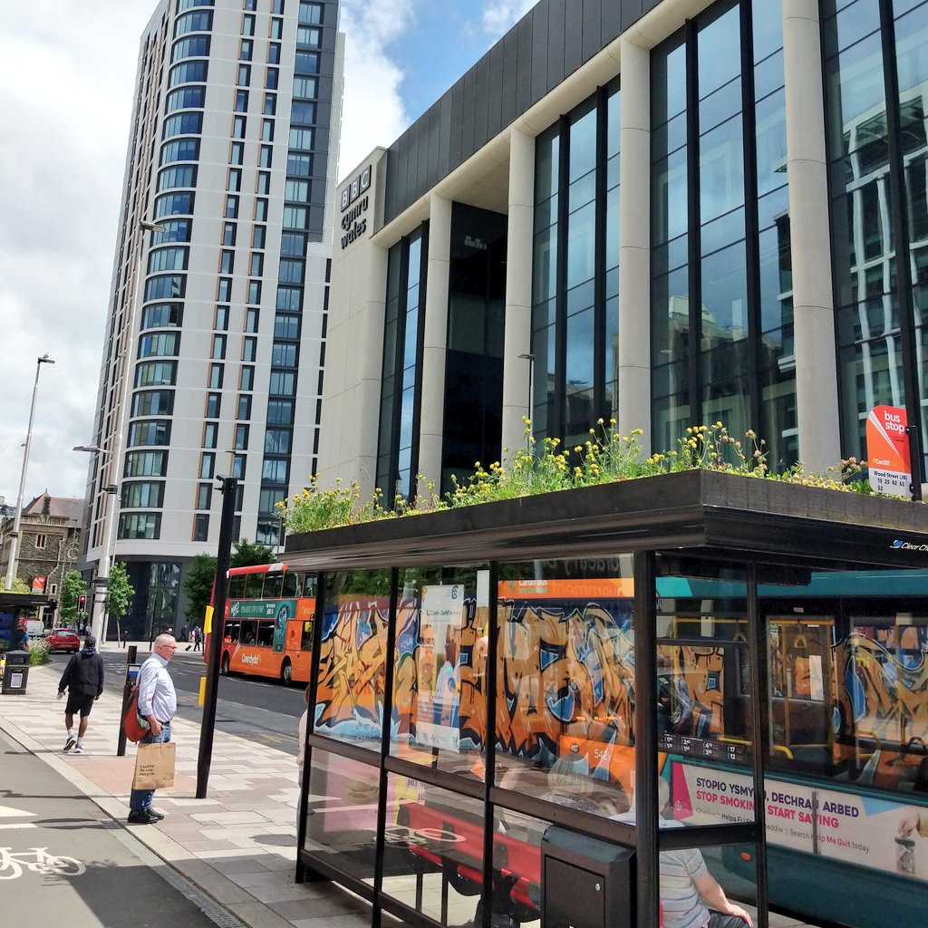 Also loving bus stop roof gardens #Cardiff