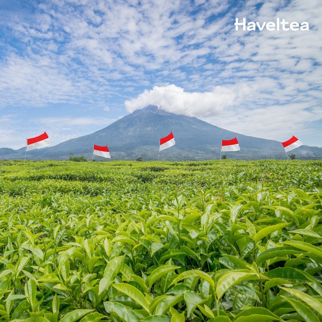haveltea's tweet photo. Happy Pancasila Day! 🎉

#Haveltea #Indonesiantea https://t.co/lpQQVWVx8A