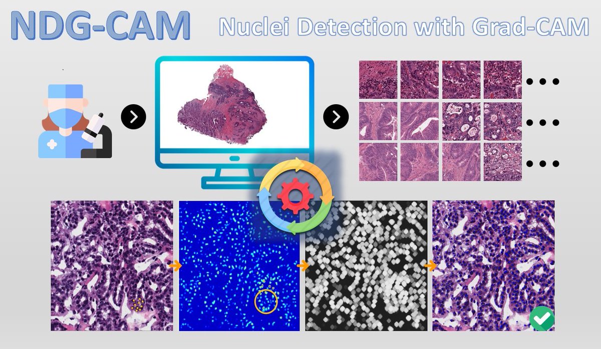 Bioengineering MDPI tweet media