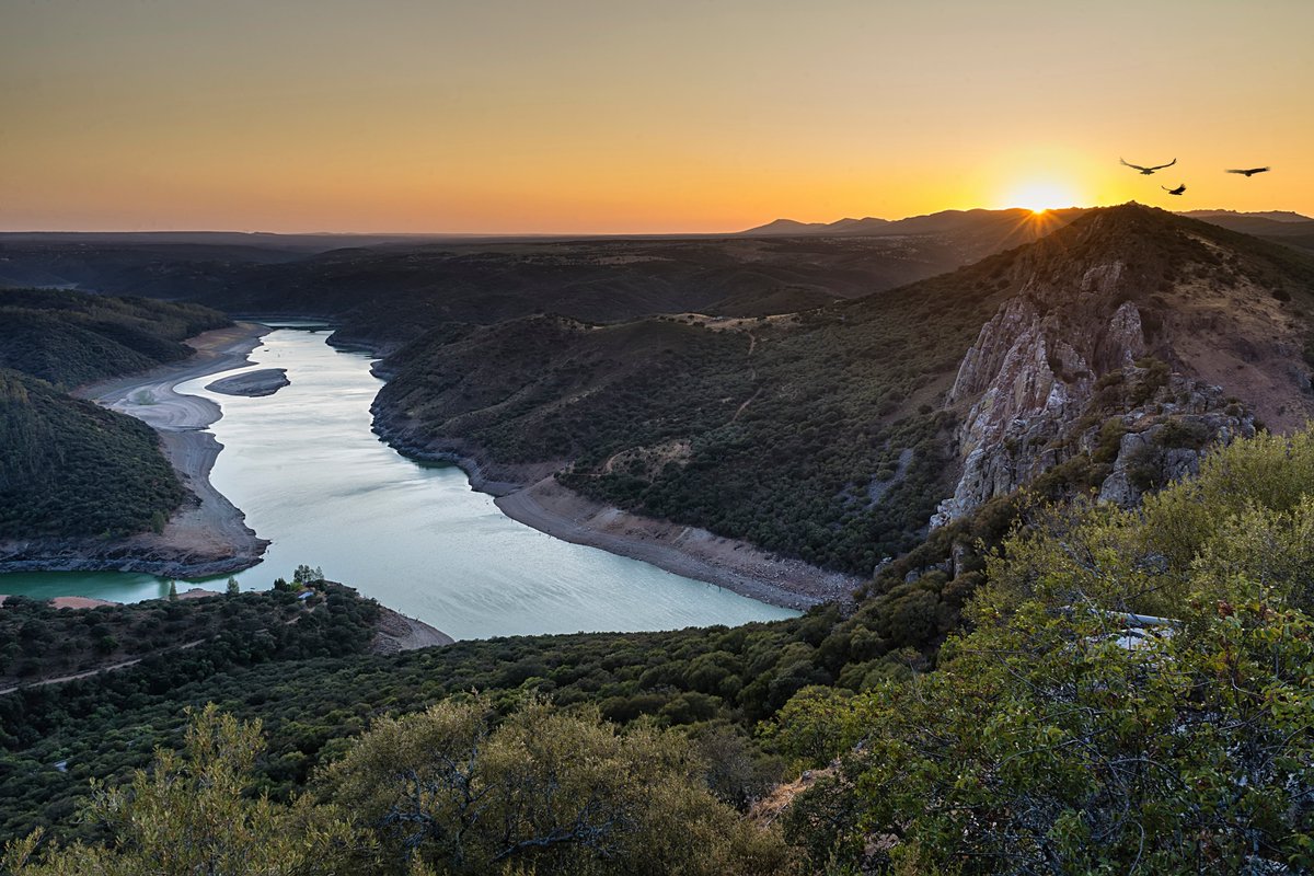 FBiodiversidad's tweet photo. 🏞️ Los #ríos solo ocupan el 1,1% de la superficie de España, pero son claves para el ser humano, la #biodiversidad y la mitigación del #CambioClimático.

Sin embargo, los ríos españoles son los ecosistemas más afectados e intervenidos por la acción humana. https://t.co/TyapnxjF2K