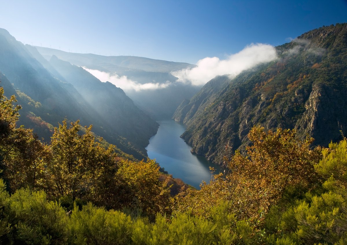 FBiodiversidad's tweet photo. 🏞️ Los #ríos solo ocupan el 1,1% de la superficie de España, pero son claves para el ser humano, la #biodiversidad y la mitigación del #CambioClimático.

Sin embargo, los ríos españoles son los ecosistemas más afectados e intervenidos por la acción humana. https://t.co/TyapnxjF2K