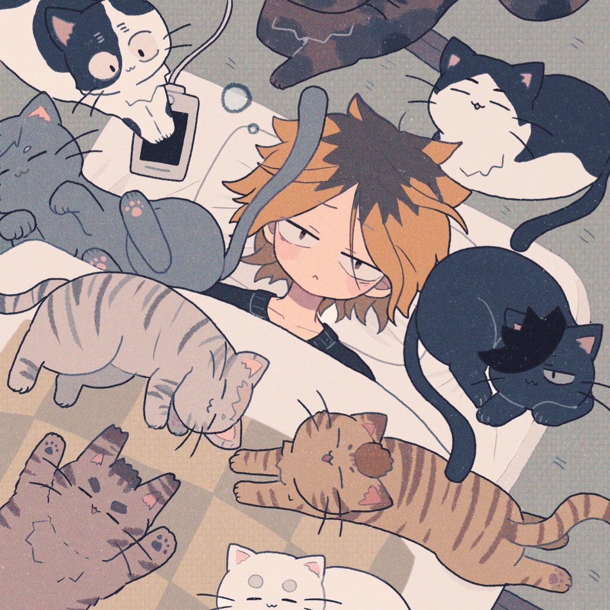 🐈💤